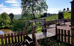 Eco Accommodation Cornflower