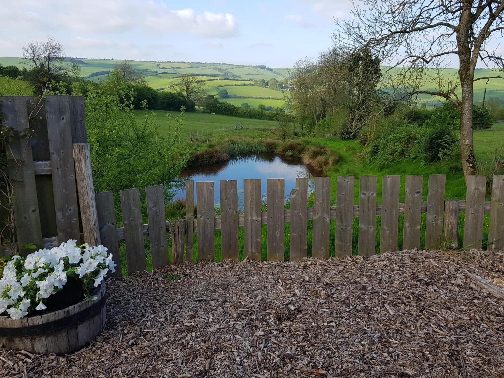 Eco Accommodation Cornflower Craven Arms Exterior photo